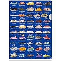 ウミウシページ 20200518072437-150x220.jpg